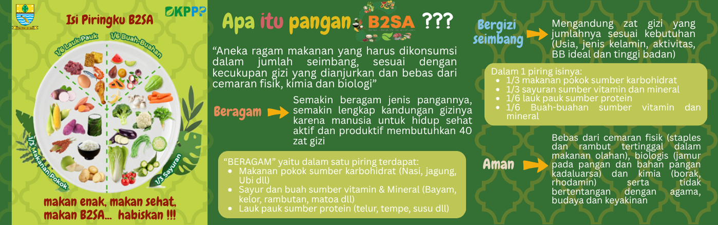 Leaflet Pola Konsumsi B2SA
